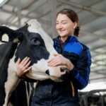 A woman in a metal-roofed barn stands by a black-and-white dairy cow. She cradles the cow's head with both her hands.