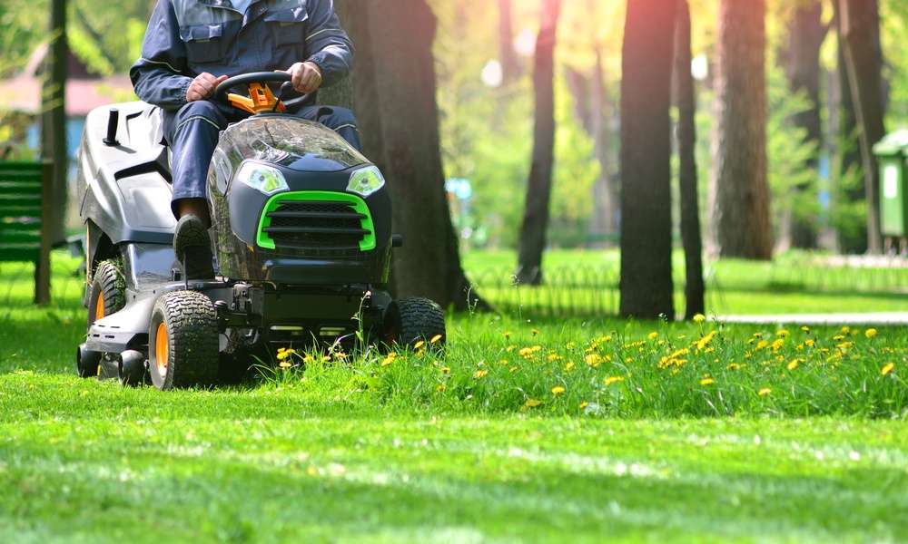 A man sitting on a riding lawn mower as he drives it through some tall grass and dandelions in a park.