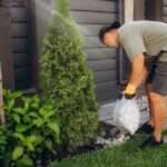 Person wearing gloves picking up yard waste near plants and small tree in landscaped garden beside modern fence.