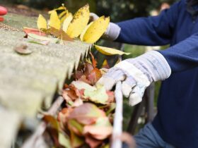 A person wearing a blue sweatshirt and gloves clears leaves and debris from a clogged roof gutter outdoors.