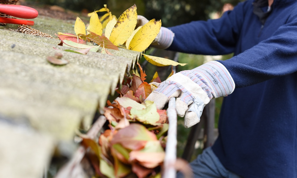 A person wearing a blue sweatshirt and gloves clears leaves and debris from a clogged roof gutter outdoors.