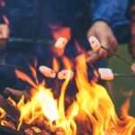 A group of people are sitting next to a fire. They are all holding sticks with marshmallows on the ends of them.