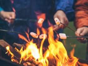 A group of people are sitting next to a fire. They are all holding sticks with marshmallows on the ends of them.