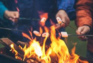 A group of people are sitting next to a fire. They are all holding sticks with marshmallows on the ends of them.