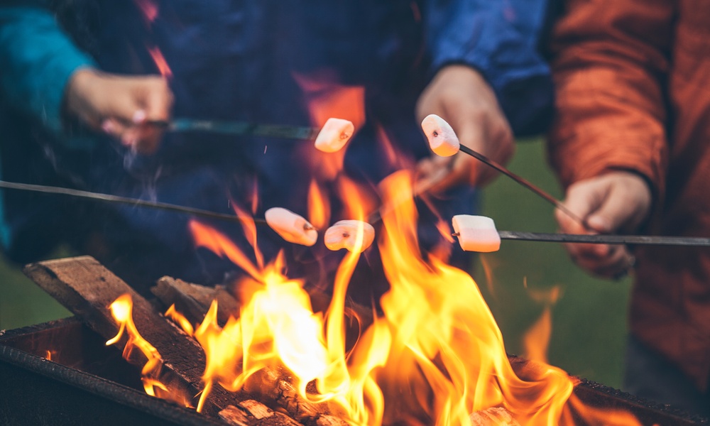 A group of people are sitting next to a fire. They are all holding sticks with marshmallows on the ends of them.