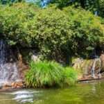 Water flows from tall rocks into an artificial lake, creating a waterfall. Trees and shrubs surround the waterfalls.