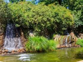 Water flows from tall rocks into an artificial lake, creating a waterfall. Trees and shrubs surround the waterfalls.