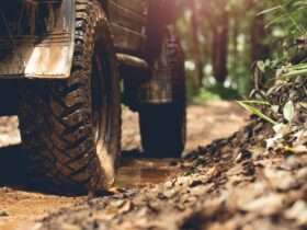 Heavy-duty off-road vehicle tires push through a muddy forest trail flanked by dense brush and wet terrain.