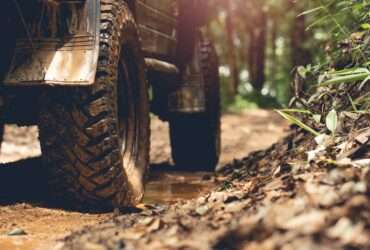 Heavy-duty off-road vehicle tires push through a muddy forest trail flanked by dense brush and wet terrain.