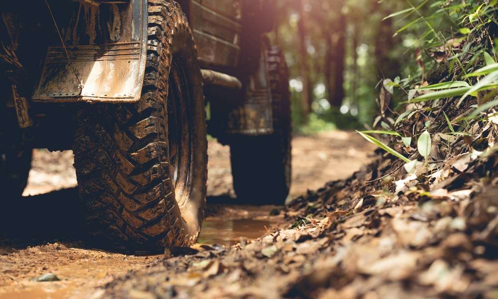 Heavy-duty off-road vehicle tires push through a muddy forest trail flanked by dense brush and wet terrain.