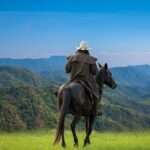 A person in a light hat riding a dark horse on a grassy hill with forested mountains beneath a blue sky.
