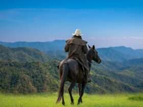 A person in a light hat riding a dark horse on a grassy hill with forested mountains beneath a blue sky.