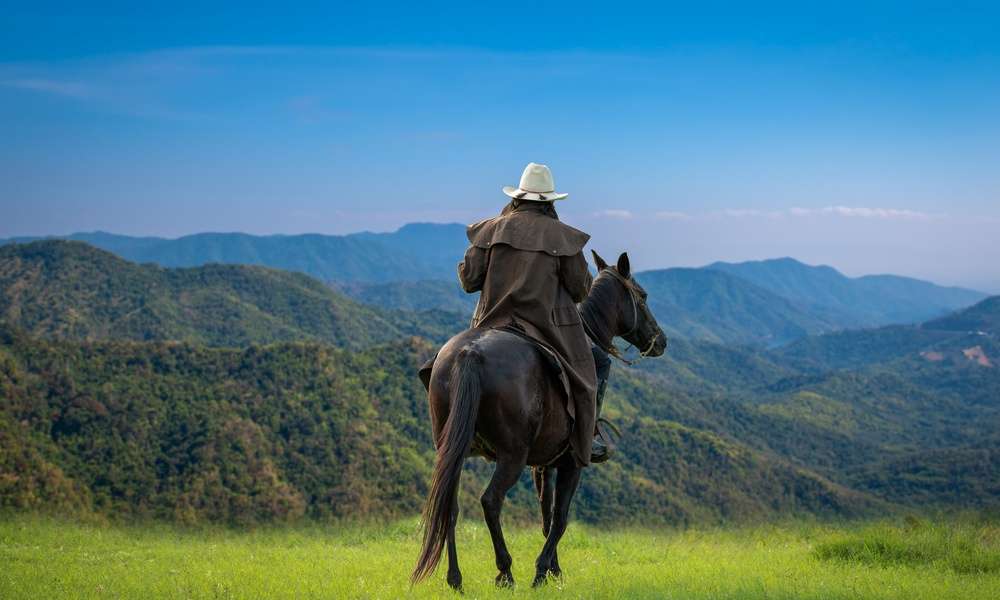 A person in a light hat riding a dark horse on a grassy hill with forested mountains beneath a blue sky.