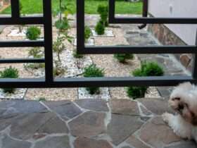 Fluffy white dog rests near a modern black fence overlooking a neat garden of gravel, stones, and shrubs.