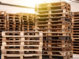 Several tall stacks of wooden pallets sit empty in a warehouse. One stack is on a blue manual forklift.