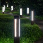 LED bollard lights illuminate a winding walkway through a park at night with grass bordering the path.