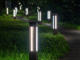 LED bollard lights illuminate a winding walkway through a park at night with grass bordering the path.