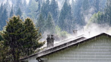 Strong rain falls on a house roof with steam rising near chimneys and tall evergreen trees in the background.